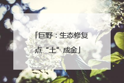 巨野：生态修复点“土”成金