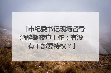 市纪委书记现场督导酒醉驾夜查工作：有没有干部耍特权？