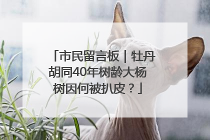市民留言板｜牡丹胡同40年树龄大杨树因何被扒皮？