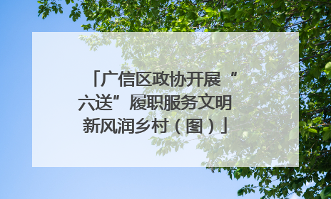 广信区政协开展“六送”履职服务文明新风润乡村（图）