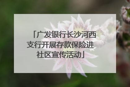 广发银行长沙河西支行开展存款保险进社区宣传活动