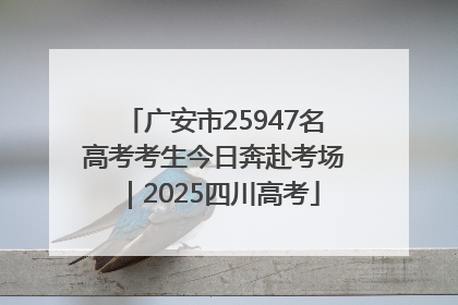 广安市25947名高考考生今日奔赴考场｜2025四川高考
