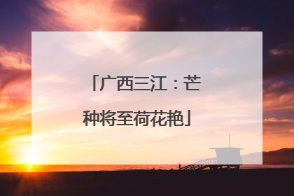 广西三江：芒种将至荷花艳