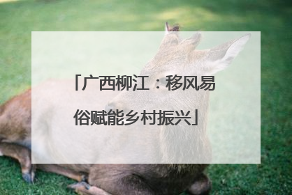 广西柳江：移风易俗赋能乡村振兴