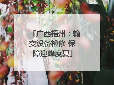 广西梧州：输变设备检修 保障迎峰度夏