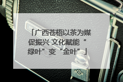 广西苍梧以茶为媒促振兴 文化赋能“绿叶”变“金叶”