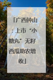 广西钟山：上市“小糖丸”无籽西瓜助农增收