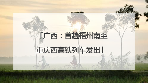 广西：首趟梧州南至重庆西高铁列车发出