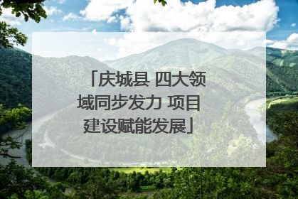 庆城县 四大领域同步发力 项目建设赋能发展