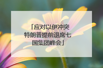 应对以伊冲突 特朗普提前退席七国集团峰会