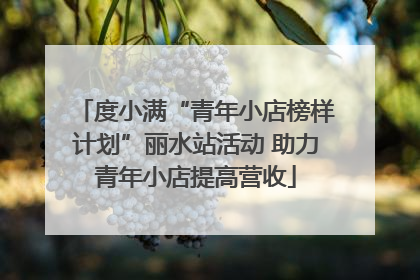度小满“青年小店榜样计划”丽水站活动 助力青年小店提高营收