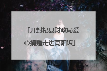 开封杞县财政局爱心捐赠走进高阳镇