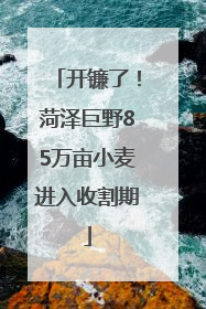 开镰了！菏泽巨野85万亩小麦进入收割期