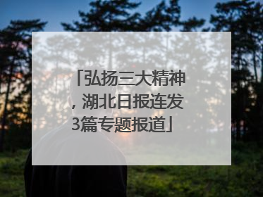 弘扬三大精神，湖北日报连发3篇专题报道