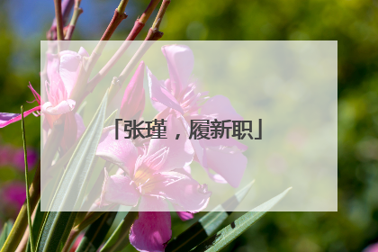 张瑾，履新职