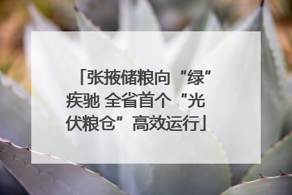 张掖储粮向“绿”疾驰 全省首个“光伏粮仓”高效运行
