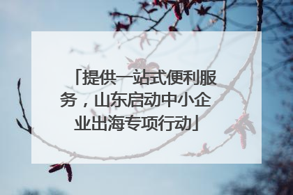提供一站式便利服务，山东启动中小企业出海专项行动