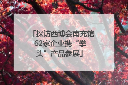探访西博会南充馆 62家企业携“拳头”产品参展