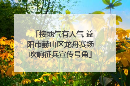 接地气有人气 益阳市赫山区龙舟赛场吹响征兵宣传号角