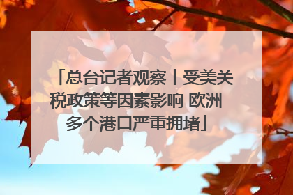 总台记者观察丨受美关税政策等因素影响 欧洲多个港口严重拥堵