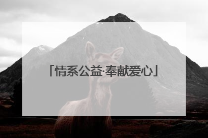情系公益·奉献爱心