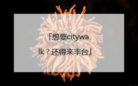 想要citywalk？还得来丰台
