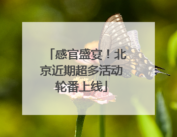 感官盛宴！北京近期超多活动轮番上线