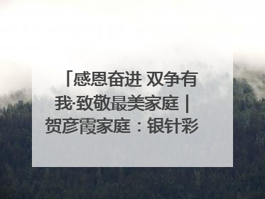 感恩奋进 双争有我·致敬最美家庭｜贺彦霞家庭：银针彩线绣出好日子