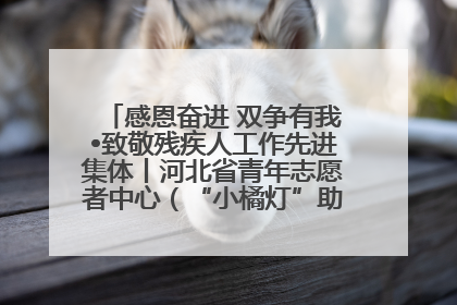 感恩奋进 双争有我•致敬残疾人工作先进集体丨河北省青年志愿者中心（“小橘灯”助残接力计划实施团队）：用温暖陪伴，守护特殊孩子成长