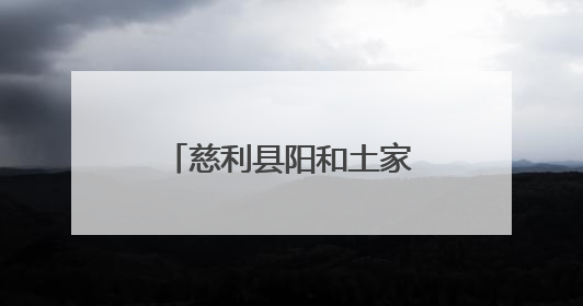 慈利县阳和土家族乡：净网清河，共护溇澧清波