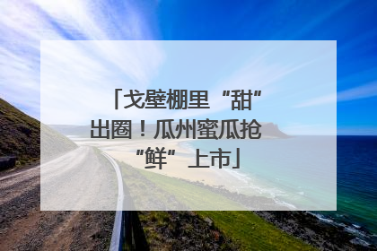 戈壁棚里“甜”出圈！瓜州蜜瓜抢“鲜”上市