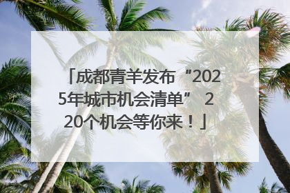 成都青羊发布“2025年城市机会清单” 220个机会等你来！