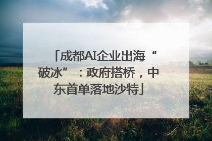 成都AI企业出海“破冰”：政府搭桥，中东首单落地沙特