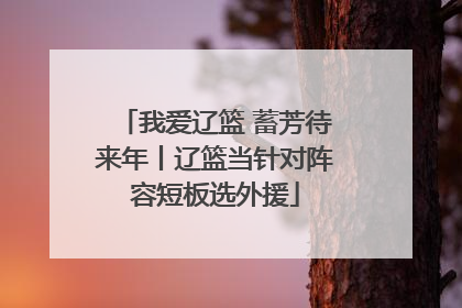 我爱辽篮 蓄芳待来年丨辽篮当针对阵容短板选外援