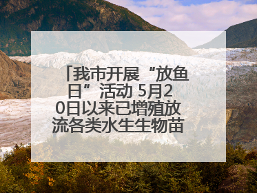 我市开展“放鱼日”活动 5月20日以来已增殖放流各类水生生物苗种5.1亿单位