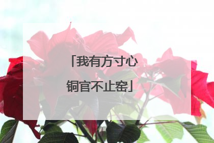 我有方寸心 铜官不止窑