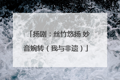 扬剧：丝竹悠扬 妙音婉转（我与非遗）