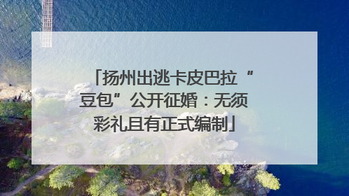 扬州出逃卡皮巴拉“豆包”公开征婚：无须彩礼且有正式编制