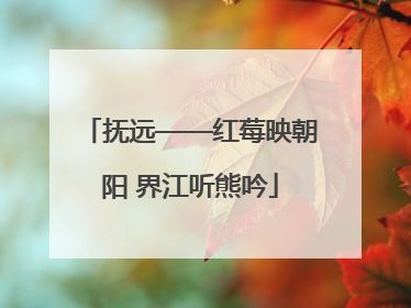 抚远——红莓映朝阳 界江听熊吟