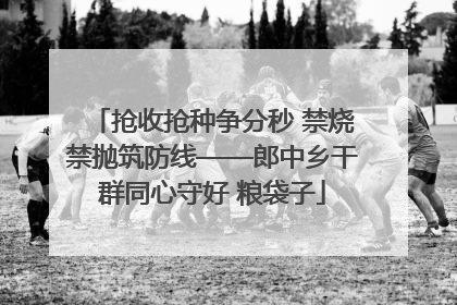抢收抢种争分秒 禁烧禁抛筑防线——郎中乡干群同心守好 粮袋子