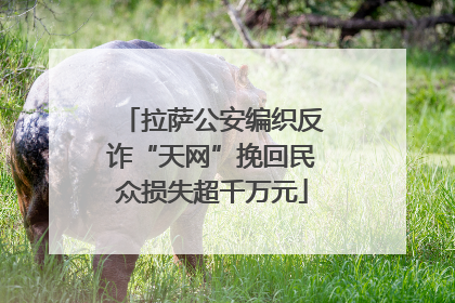 拉萨公安编织反诈“天网”挽回民众损失超千万元