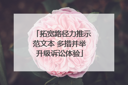 拓宽路径力推示范文本 多措并举升级诉讼体验