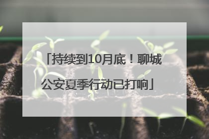 持续到10月底！聊城公安夏季行动已打响