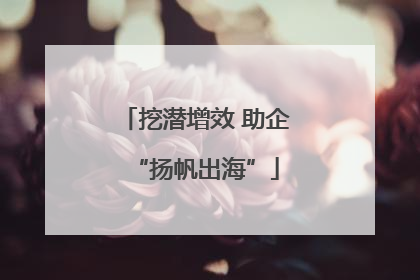 挖潜增效 助企“扬帆出海”