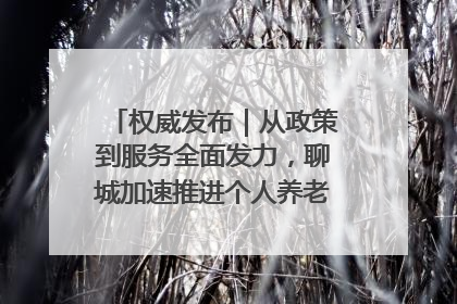 权威发布｜从政策到服务全面发力，聊城加速推进个人养老金制度落地