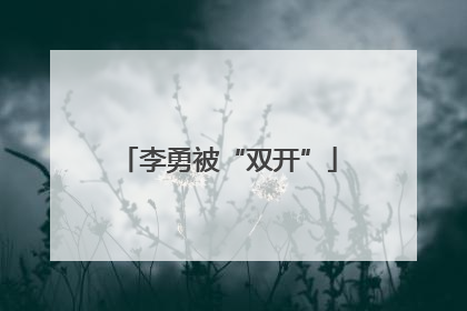 李勇被“双开”