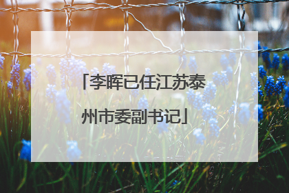 李晖已任江苏泰州市委副书记