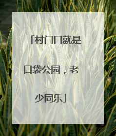 村门口就是口袋公园，老少同乐