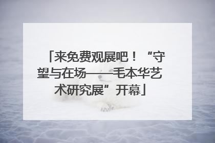 来免费观展吧！“守望与在场——毛本华艺术研究展”开幕