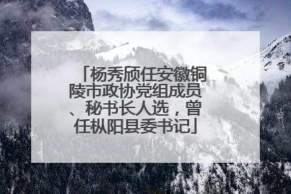 杨秀颀任安徽铜陵市政协党组成员、秘书长人选，曾任枞阳县委书记